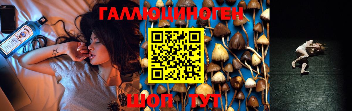 Дубна  Псилоцибиновые грибы прущие грибы  Вход с VPN 