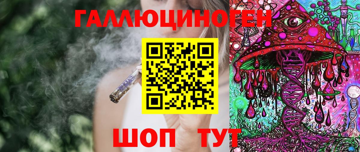 Галлюциногенные грибы Psilocybe Дубна