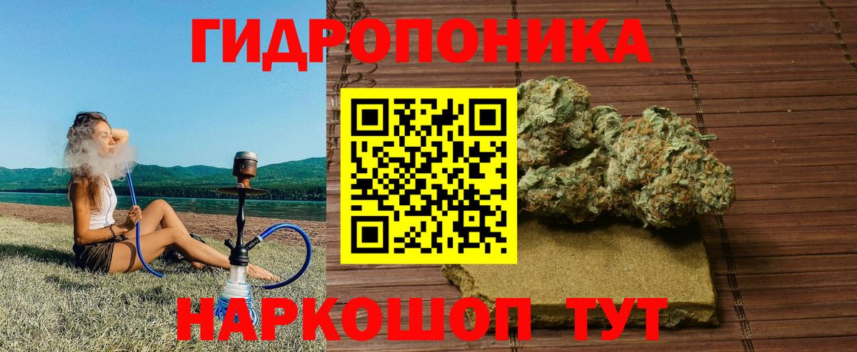 Каннабис MAZAR Дубна